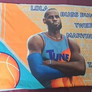 Lebron James Space Jam The New Legacy 2pc Standard Size Pillowcase.